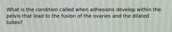 What is the condition called when adhesions develop within the pelvis that lead to the fusion of the ovaries and the dilated tubes?