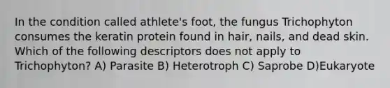 In the condition called athlete's foot, the fungus Trichophyton consumes the keratin protein found in hair, nails, and dead skin. Which of the following descriptors does not apply to Trichophyton? A) Parasite B) Heterotroph C) Saprobe D)Eukaryote