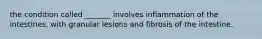 the condition called _______ involves inflammation of the intestines, with granular lesions and fibrosis of the intestine.