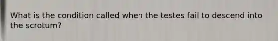 What is the condition called when the testes fail to descend into the scrotum?