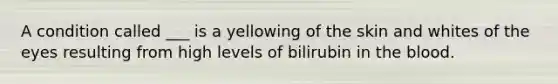 A condition called ___ is a yellowing of the skin and whites of the eyes resulting from high levels of bilirubin in the blood.