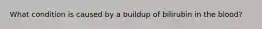 What condition is caused by a buildup of bilirubin in the blood?