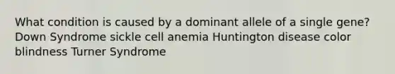 What condition is caused by a dominant allele of a single gene? Down Syndrome sickle cell anemia Huntington disease color blindness Turner Syndrome