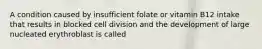 A condition caused by insufficient folate or vitamin B12 intake that results in blocked cell division and the development of large nucleated erythroblast is called