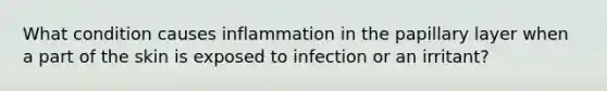 What condition causes inflammation in the papillary layer when a part of the skin is exposed to infection or an irritant?