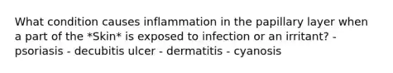 What condition causes inflammation in the papillary layer when a part of the *Skin* is exposed to infection or an irritant? - psoriasis - decubitis ulcer - dermatitis - cyanosis