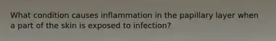 What condition causes inflammation in the papillary layer when a part of the skin is exposed to infection?