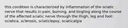 this condition is characterized by inflammation of the sciatic nerve that results in pain, burning, and tingling along the course of the affected sciatic nerve through the thigh, leg and foot: sciatica, sclerosis, sciaticlepsy, sciaticalgia