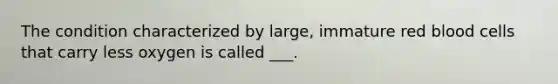 The condition characterized by large, immature red blood cells that carry less oxygen is called ___.