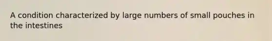 A condition characterized by large numbers of small pouches in the intestines