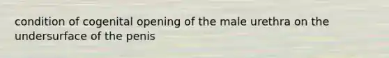 condition of cogenital opening of the male urethra on the undersurface of the penis