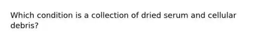 Which condition is a collection of dried serum and cellular debris?