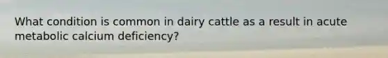 What condition is common in dairy cattle as a result in acute metabolic calcium deficiency?