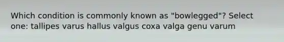 Which condition is commonly known as "bowlegged"? Select one: tallipes varus hallus valgus coxa valga genu varum