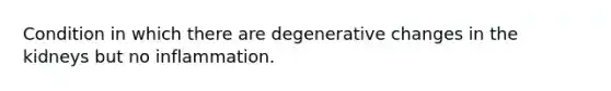 Condition in which there are degenerative changes in the kidneys but no inflammation.