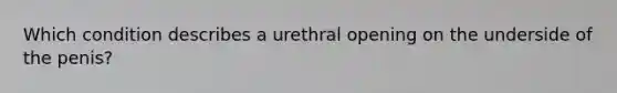 Which condition describes a urethral opening on the underside of the penis?