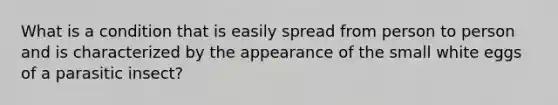 What is a condition that is easily spread from person to person and is characterized by the appearance of the small white eggs of a parasitic insect?