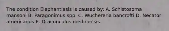 The condition Elephantiasis is caused by: A. Schistosoma mansoni B. Paragonimus spp. C. Wuchereria bancrofti D. Necator americanus E. Dracunculus medinensis