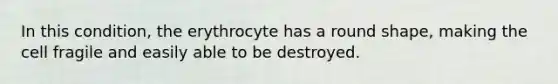 In this condition, the erythrocyte has a round shape, making the cell fragile and easily able to be destroyed.