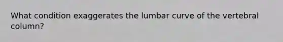 What condition exaggerates the lumbar curve of the vertebral column?