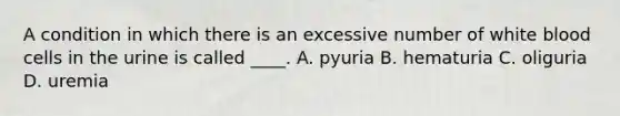 ​A condition in which there is an excessive number of white blood cells in the urine is called ____. A. pyuria B. hematuria C. oliguria D. uremia