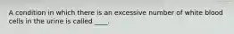 ​A condition in which there is an excessive number of white blood cells in the urine is called ____.