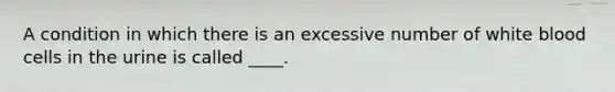 ​A condition in which there is an excessive number of white blood cells in the urine is called ____.