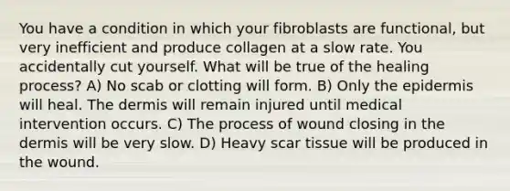 You have a condition in which your fibroblasts are functional, but very inefficient and produce collagen at a slow rate. You accidentally cut yourself. What will be true of the healing process? A) No scab or clotting will form. B) Only the epidermis will heal. The dermis will remain injured until medical intervention occurs. C) The process of wound closing in the dermis will be very slow. D) Heavy scar tissue will be produced in the wound.