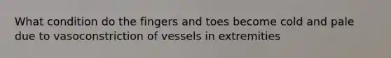 What condition do the fingers and toes become cold and pale due to vasoconstriction of vessels in extremities