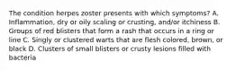 The condition herpes zoster presents with which symptoms? A. Inflammation, dry or oily scaling or crusting, and/or itchiness B. Groups of red blisters that form a rash that occurs in a ring or line C. Singly or clustered warts that are flesh colored, brown, or black D. Clusters of small blisters or crusty lesions filled with bacteria