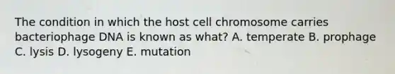 The condition in which the host cell chromosome carries bacteriophage DNA is known as what? A. temperate B. prophage C. lysis D. lysogeny E. mutation