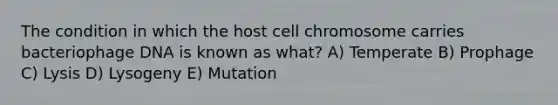 The condition in which the host cell chromosome carries bacteriophage DNA is known as what? A) Temperate B) Prophage C) Lysis D) Lysogeny E) Mutation