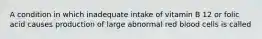 A condition in which inadequate intake of vitamin B 12 or folic acid causes production of large abnormal red blood cells is called