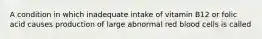 A condition in which inadequate intake of vitamin B12 or folic acid causes production of large abnormal red blood cells is called