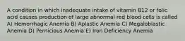 A condition in which inadequate intake of vitamin B12 or folic acid causes production of large abnormal red blood cells is called A) Hemorrhagic Anemia B) Aplastic Anemia C) Megaloblastic Anemia D) Pernicious Anemia E) Iron Deficiency Anemia