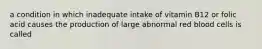 a condition in which inadequate intake of vitamin B12 or folic acid causes the production of large abnormal red blood cells is called