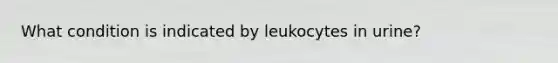 What condition is indicated by leukocytes in urine?