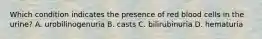 Which condition indicates the presence of red blood cells in the urine? A. urobilinogenuria B. casts C. bilirubinuria D. hematuria