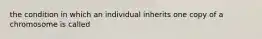 the condition in which an individual inherits one copy of a chromosome is called