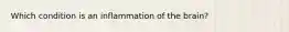 Which condition is an inflammation of the brain?