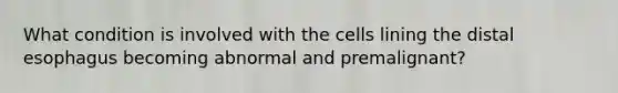 What condition is involved with the cells lining the distal esophagus becoming abnormal and premalignant?