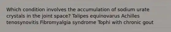 Which condition involves the accumulation of sodium urate crystals in the joint space? Talipes equinovarus Achilles tenosynovitis Fibromyalgia syndrome Tophi with chronic gout