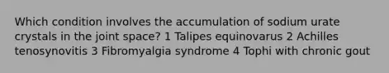 Which condition involves the accumulation of sodium urate crystals in the joint space? 1 Talipes equinovarus 2 Achilles tenosynovitis 3 Fibromyalgia syndrome 4 Tophi with chronic gout