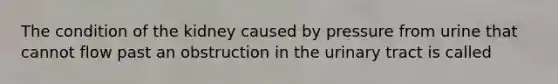 The condition of the kidney caused by pressure from urine that cannot flow past an obstruction in the urinary tract is called