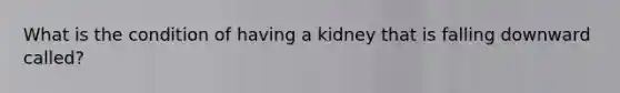 What is the condition of having a kidney that is falling downward called? ​