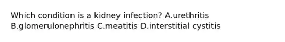 Which condition is a kidney infection? A.urethritis B.glomerulonephritis C.meatitis D.interstitial cystitis