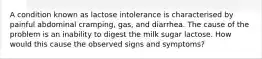 A condition known as lactose intolerance is characterised by painful abdominal cramping, gas, and diarrhea. The cause of the problem is an inability to digest the milk sugar lactose. How would this cause the observed signs and symptoms?