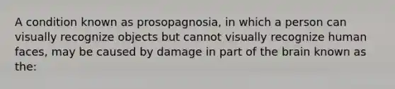 A condition known as prosopagnosia, in which a person can visually recognize objects but cannot visually recognize human faces, may be caused by damage in part of the brain known as the: