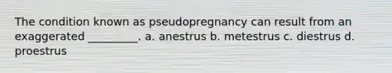 The condition known as pseudopregnancy can result from an exaggerated _________. a. anestrus b. metestrus c. diestrus d. proestrus