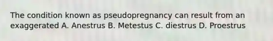 The condition known as pseudopregnancy can result from an exaggerated A. Anestrus B. Metestus C. diestrus D. Proestrus